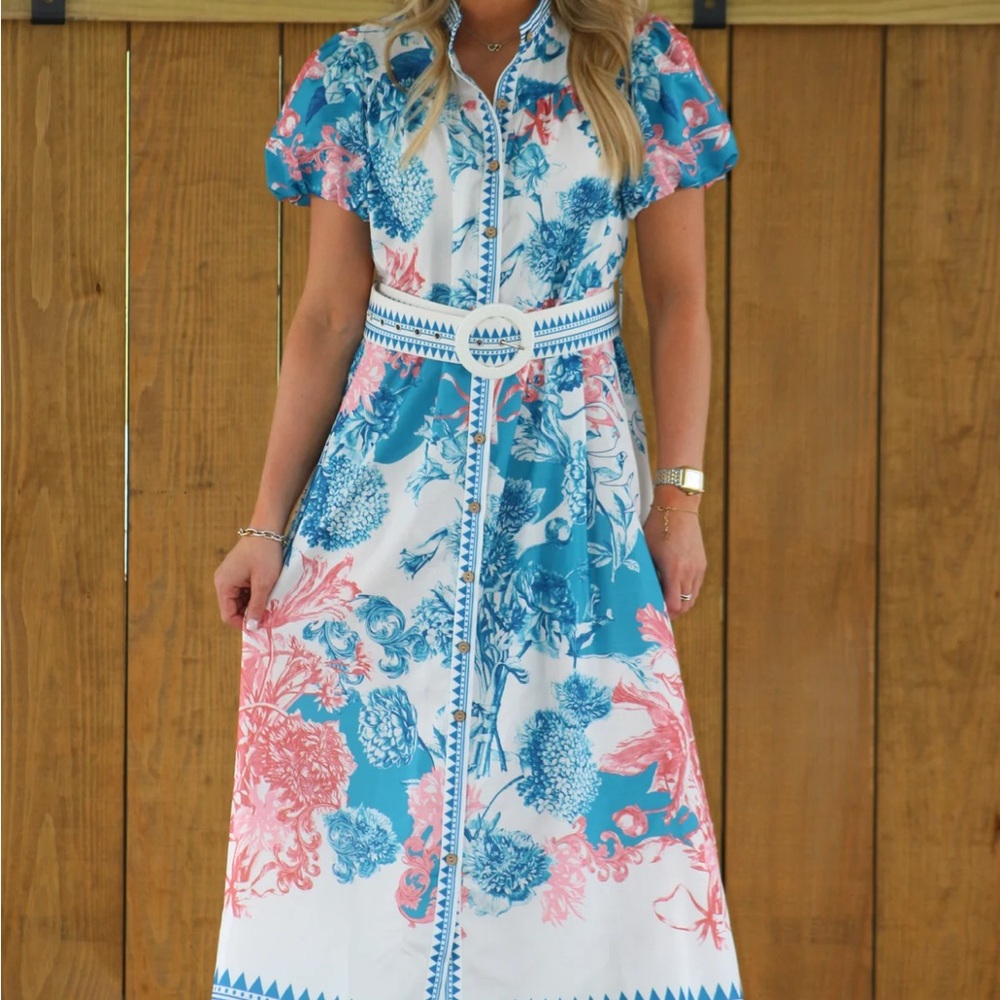 NWT Pink and Blue Ruffled Button-Up Maxi Dress
